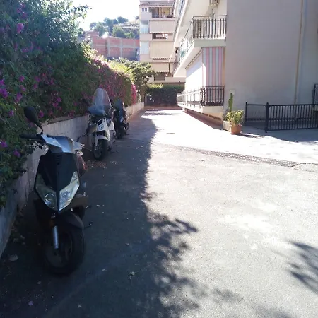 Bouganville * كالاتابيانو