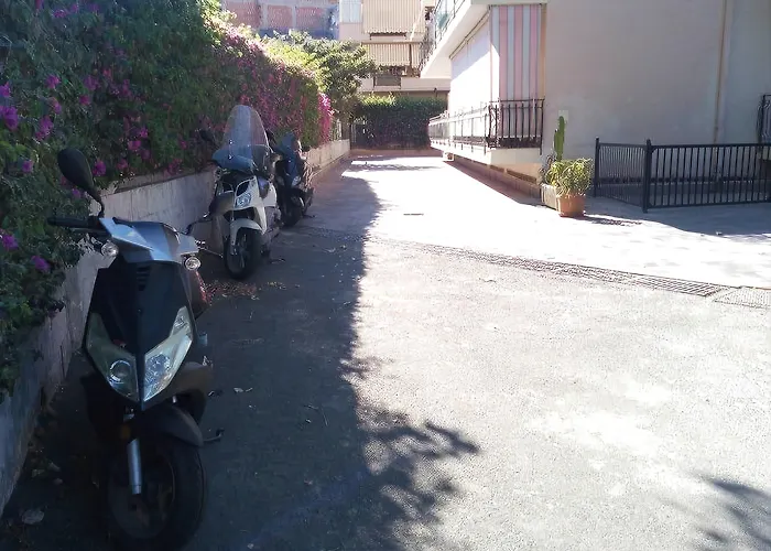 Bouganville * קלטביאנו